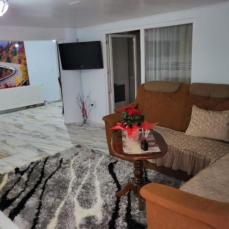 萨图马雷Apartament Cu Terasa Si Gratar公寓 外观 照片