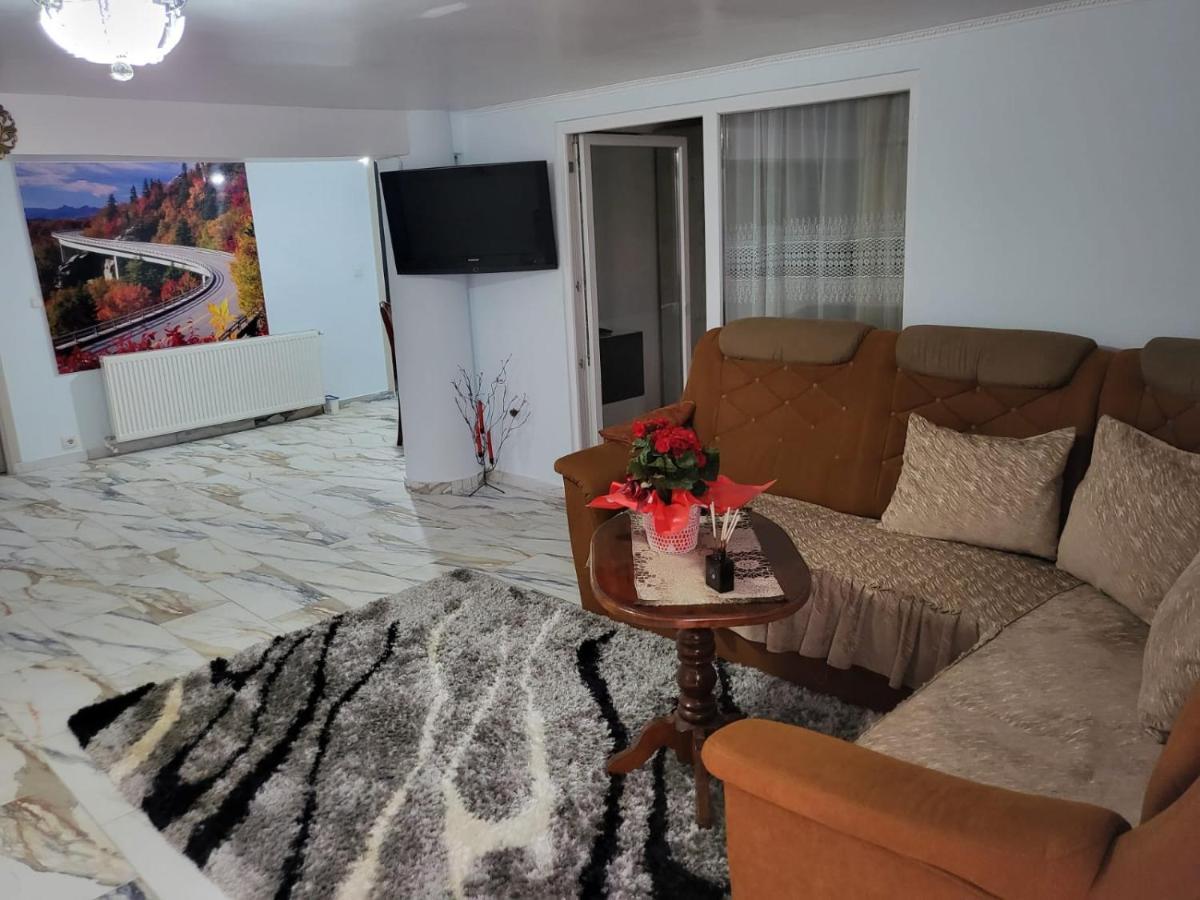 萨图马雷Apartament Cu Terasa Si Gratar公寓 外观 照片