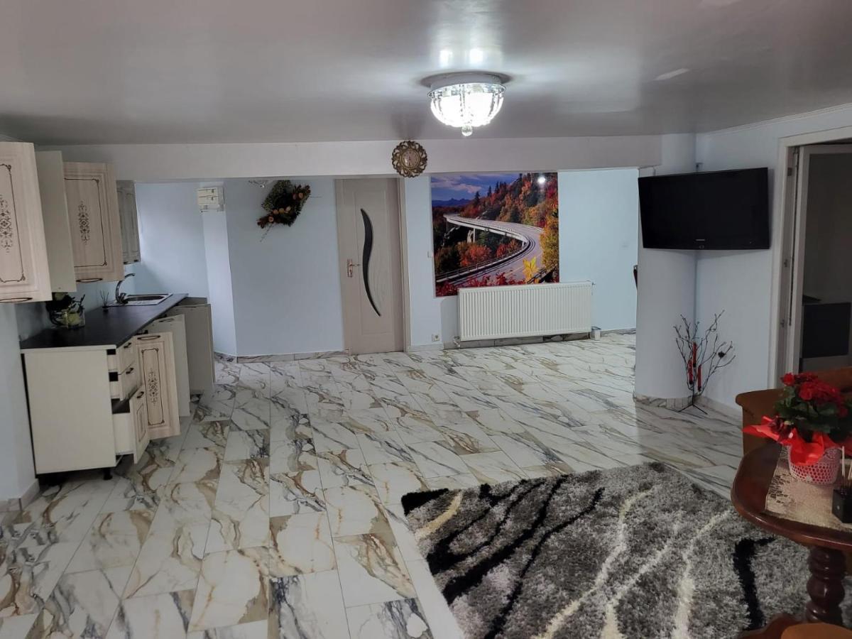 萨图马雷Apartament Cu Terasa Si Gratar公寓 外观 照片